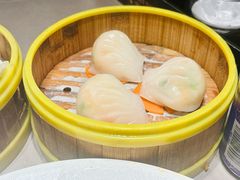 虾饺皇-阿诚市井潮汕菜(金台路店)