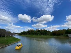 -上海海湾国家森林公园