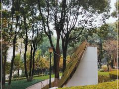 -重庆市江北嘴中央商务区中央公园