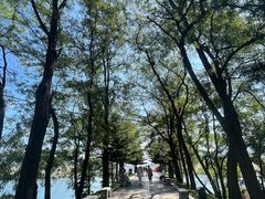 -河口景区