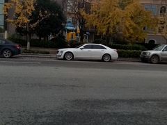 -成都泰迪熊博物馆