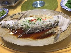 -长兴岛郊野公园农场食堂