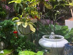 -花鸟鱼虫鲜花绿植市场(玉泉路店)