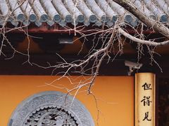 -龙华寺