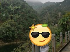 -沂蒙山旅游区云蒙景区(蒙山国家森林公园)
