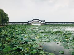 -观桥阁(锦溪店)