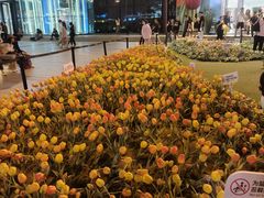 -赛格国际购物中心(小寨店)