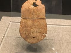 -河南博物院