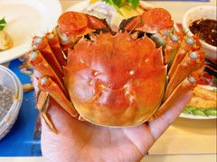 -黄记大闸蟹专卖店·活蟹·醉蟹