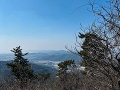 -惠山国家森林公园