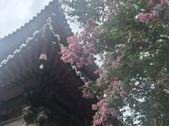 -报恩寺(平武县)