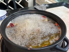 -蘑统田下·野生菌火锅