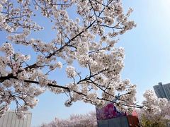 -龙美术馆(西岸馆)