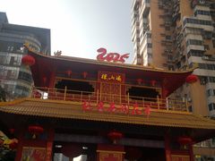 -越秀西湖花市(广州城市广场花卉店)