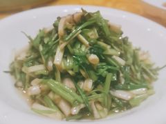 -大鸿运酒店·苏州菜·松鼠桂鱼(观前街店)