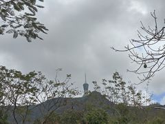 -梧桐山风景名胜区