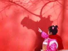 -北京国子监胡同