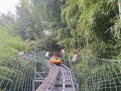 -藏龙百瀑风景区