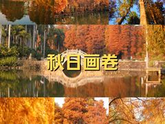 -华南国家植物园-售票处