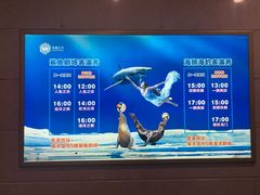 -成都浩海立方海洋公园