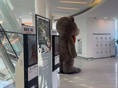 -济州岛泰迪熊博物馆