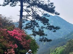 -木兰云雾山