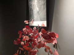 -长春银盐咖啡馆