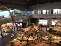 -自贡恐龙博物馆