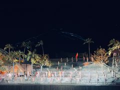 -三亚红色娘子军演艺公园景区