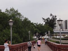 -宝安西湾红树林湿地公园