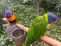 -南宫五洲植物乐园