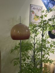 -变美丽半永久纹眉连锁·机器野生眉•洗眉