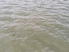 -丁香湖公园