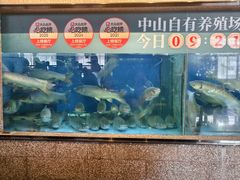 -淘米捞·米汤脆鲩鱼火锅(福田皇岗店)