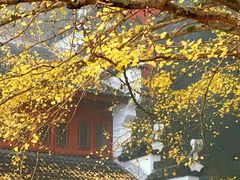 -大慈岩风景区