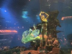 -海棠湾洲际-涛·海底餐厅·美人鱼·自助餐·海底隧道
