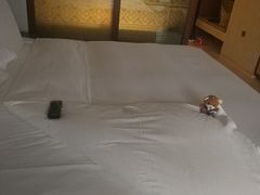 -西双版纳融创皇冠假日度假酒店