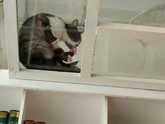 -娜娜家•Nana’Garden (福州道店)