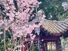 -乌山风景区