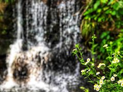 -藏龙百瀑风景区