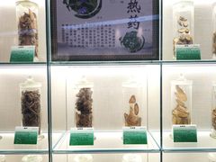-广东中医药博物馆