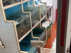 -云中鱼蒸汽石锅鱼(浦东食品城店)