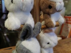 -寿奶茶·鲜奶与茶(合生汇购物中心店)