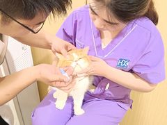 -康旭宠物医院(郑州总院)