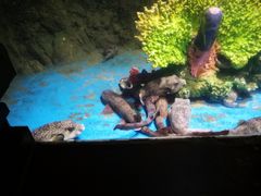 -太平洋海底世界博览馆·展览厅