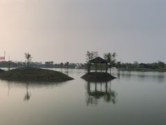 -东湖食堂·湖景餐厅•会议