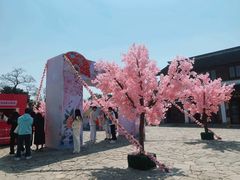 -苏州太湖国家湿地公园
