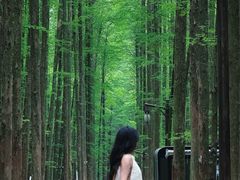 -山王坪喀斯特国家生态公园