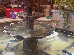-万里闯关东铁锅炖菜馆(高新旗舰店)