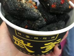 -武爹臭豆腐(坡子街店)